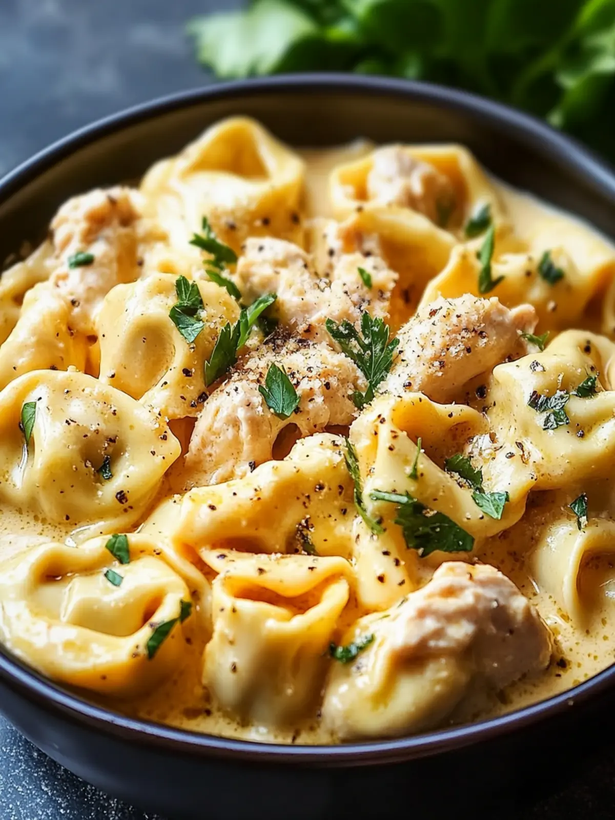 Creamy Crockpot Chicken Tortellini for Effortless Family Dinners 5 Crockpot Chicken Tortellini