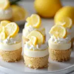 Mini Lemon Cheesecake Cups: Easy, Zesty Desserts for Everyone 3 Mini Lemon Cheesecake Cups