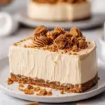 Decadent No Bake Biscoff Cheesecake That's Effortlessly Delicious 6 No Bake Biscoff Cheesecake